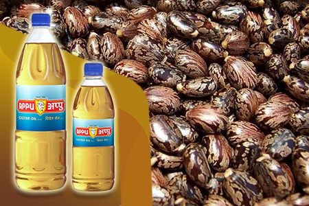 castor oil exporters in india Kachi Ghani Mustard Oil, Pure Mustard Oil, Black Sesame Oil Manufacturers