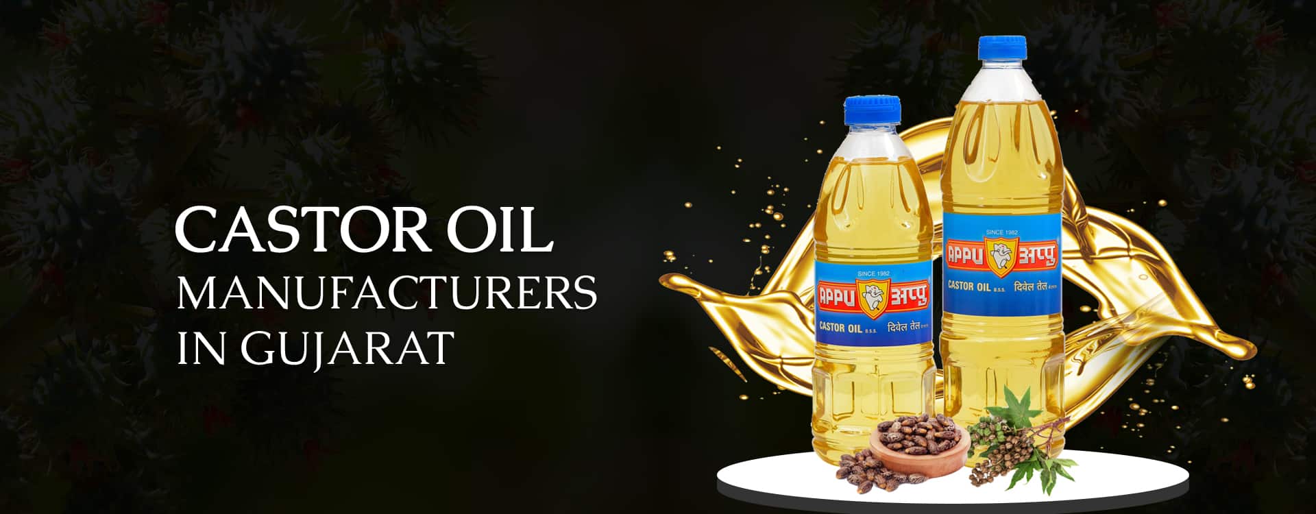 Castor Oil Manufacturers in Gujarat