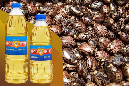 Caster Oil Manufacturer, Supplier in Ahmedabad, India Kachi Ghani Mustard Oil, Pure Mustard Oil, Black Sesame Oil Manufacturers Kachi Ghani Mustard Oil, Pure Mustard Oil, Black Sesame Oil Manufacturers